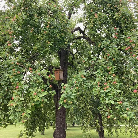 Sima Daire Velden am Wörthersee
