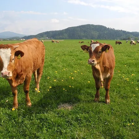 Apartamento Sima Velden am Wörthersee