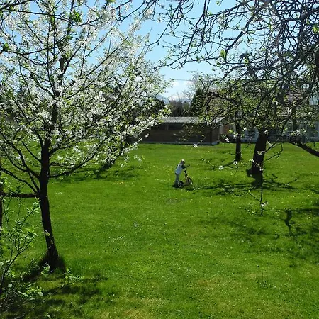 Apartment Sima