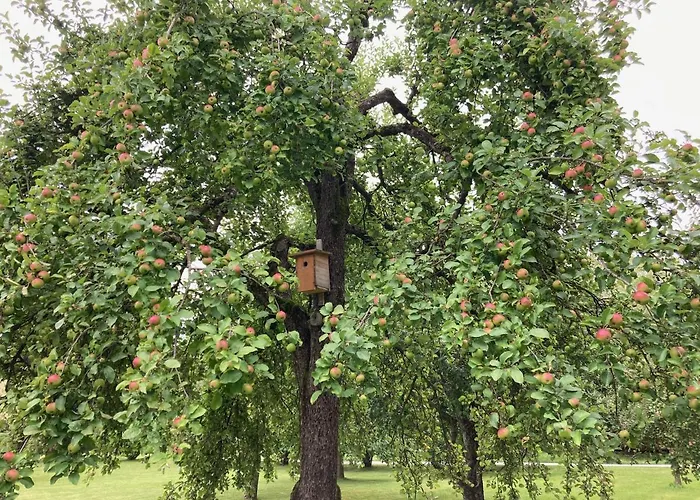 Sima 아파트 벨덴암워스에르시