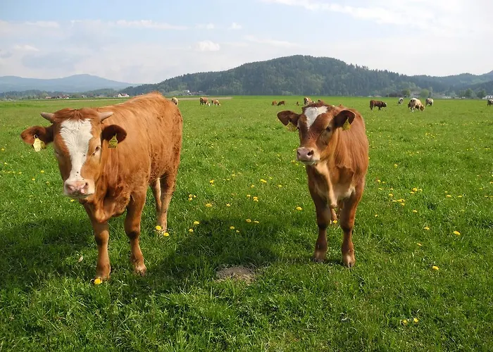 아파트 Sima 벨덴암워스에르시